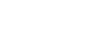 ANSA